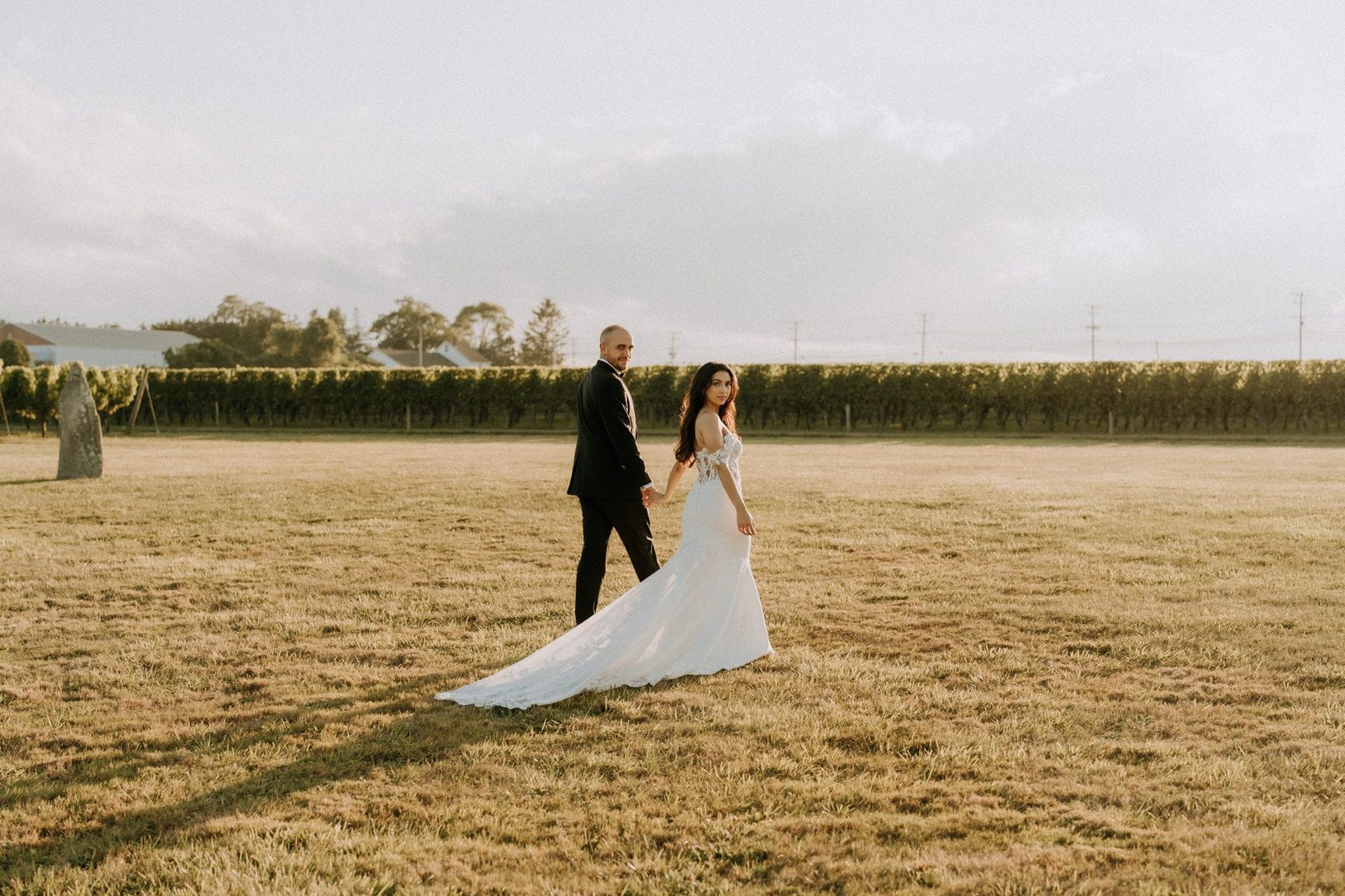 A couple in wedding attire walks hand in hand through a sunlit field. The bride wears a long white gown with a train, and the groom is in a dark suit. The background features a vineyard and a clear sky. Captured by Smoky Mountain Wedding Photographer, Derek Halkett Photography